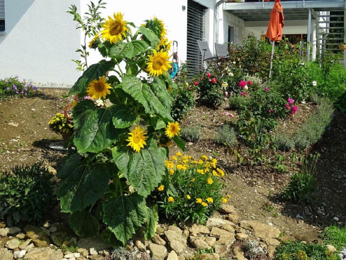 Ferienwohnung Hofstatt Lalling 외부 사진